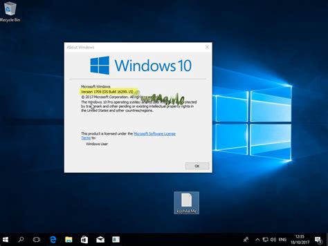 Independent access of Windows 10 Professional 1709.